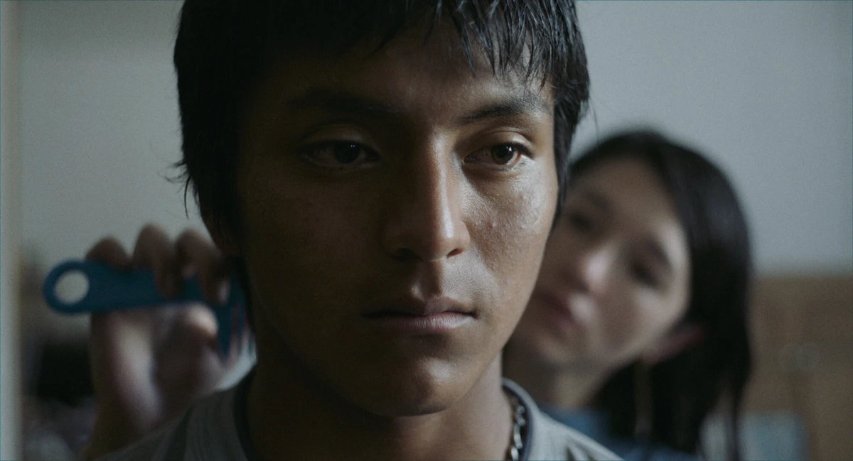 Imagen destacada: Hiedra: enredadera de identidades, belleza y catástrofe.